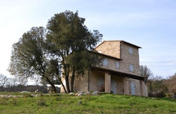 Agriturismo Surripa Amelia Exterior foto